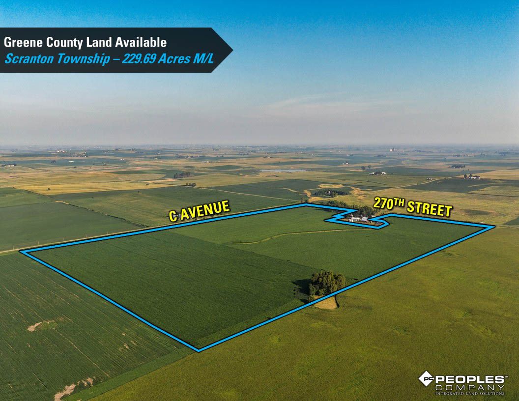 Listing Photo: Greene-County-Iowa-Land-Available-Scranton-Iowa-229-Acres-19614 (17)